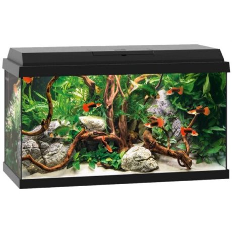 Juwel Aquarium Vision Led Black Aquariums Accessories Shop In