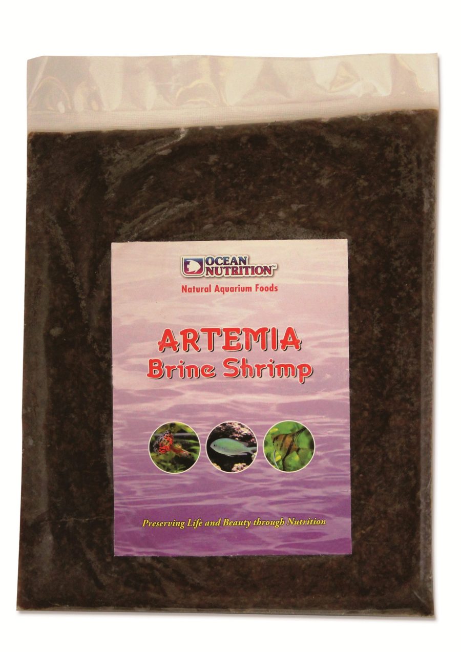 Artemia Brine Shrimp Flatpack 454G