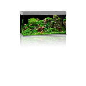 JUWEL AQUARIUM RIO 350 LED - Grey