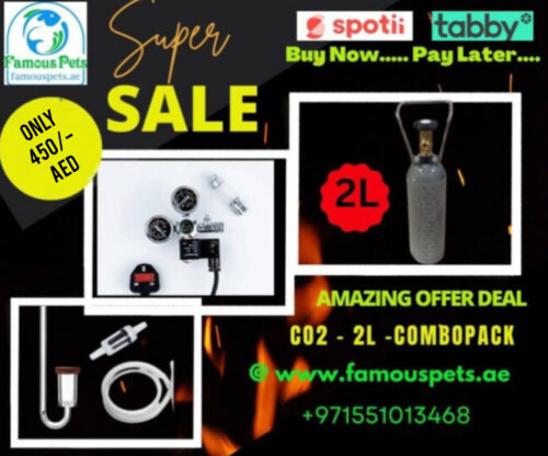 Co2 System Combo Pack 2L Steel Cylinder