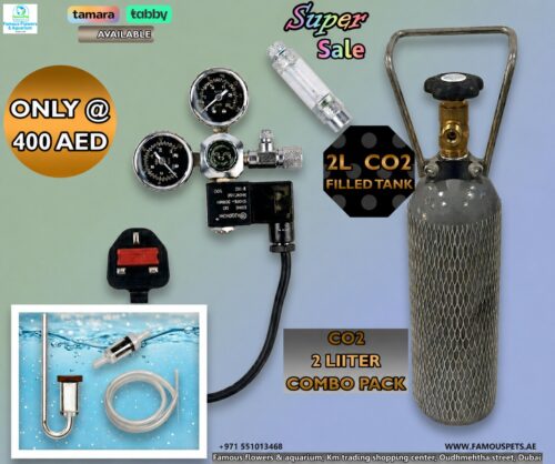 Co2 System Combo Pack 2L Steel Cylinder