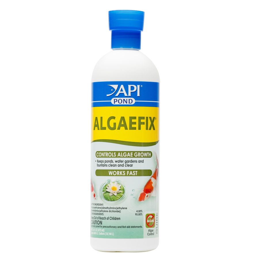 Api Pond Algaefix, 16 Oz