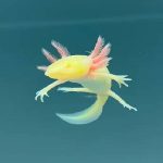 AXOLOTL YELLOW 14CM-1