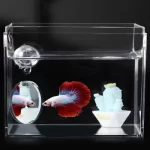 Betta Mirror 5CM (1)