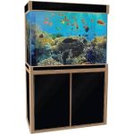 KARIS AQUARIUM TANK 100CM WITH SUMP FILTER (1)