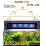 HYGGER RGB LED PLANTS LIGHTS (1)