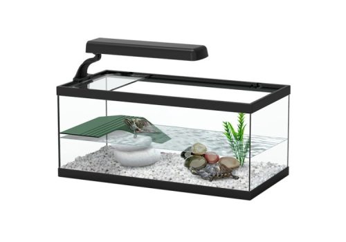 Tortum Turtle Tank Black