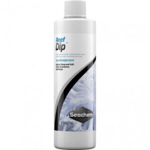 REEF DIP 250ML