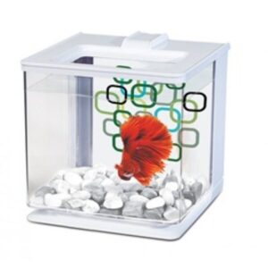 Marina Betta Kit 2.5L - White