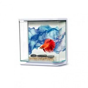 Marina Betta Kit 3L - Blue
