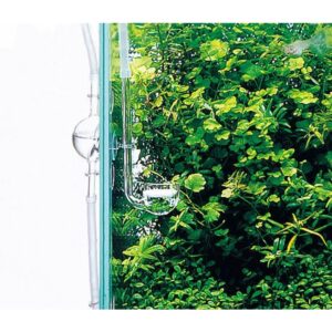 Co2 Music Glass 40 Mm Diam.
