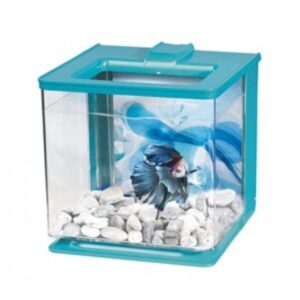 Marina Betta Kit 2.5L - Blue
