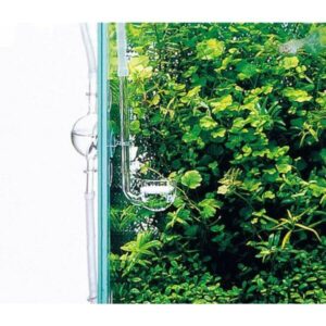 CO2 MUSIC GLASS 40 MM DIAM.