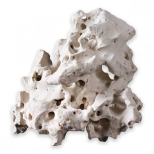 CAVITY ROCK - ASIAN L 2 TO 3.5 KG