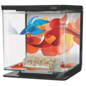 Marina Betta Kit - Sun Swirl