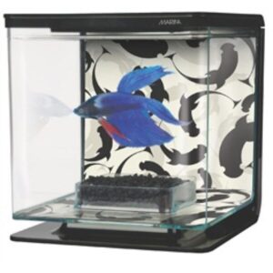 Marina Betta Kit - Ying/Yang