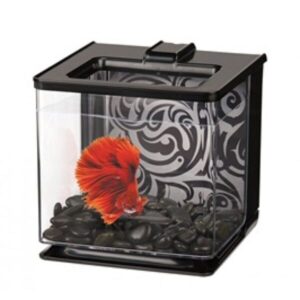 Marina Betta Kit 2.5L - Black