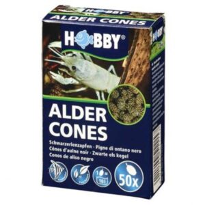 ALDER CONES (50 PCS)