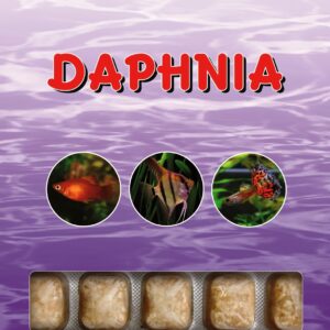 Daphnia 100G