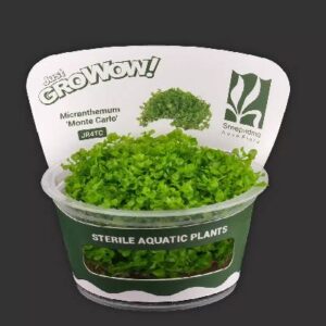 Aquaflora Monte Carlo
