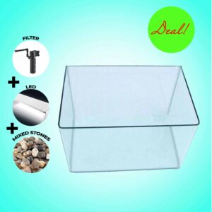 Curved Aquarium Fish Tank Set – Special Offer