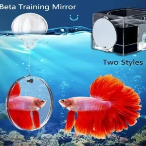 Betta Mirror 5CM