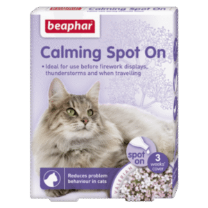 CALMING SPOT ON CAT
