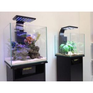 Black Wood Grain Cabinet For 42 Cm Cube