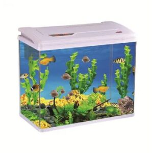 Foshan Aquarium Tank Py-480