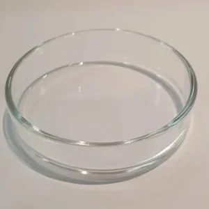 Glass Shrimps Feeding Dish 8cm