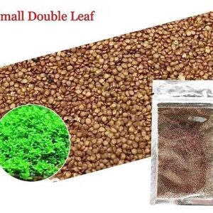 Glossostigma Plant Seeds (Small)