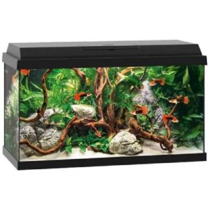 Juwel Primo 60 Led - Black