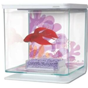 Marina Betta Kit 2l-floral