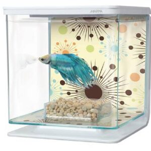 Marina Betta Kit Boy Fire Works-2l Floral