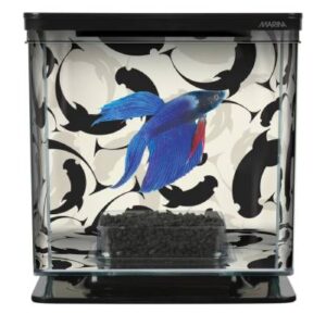 Marina Betta Kit Ying/yang