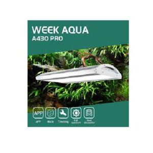 Week Aqua Ark model - A series