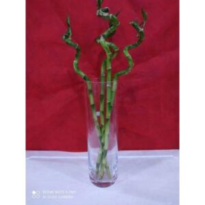 Bamboo Glass vase- Cylindrical Flower vase