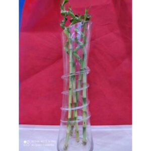 Bamboo Glass Vase - Cylindrical twisted designed flower vase