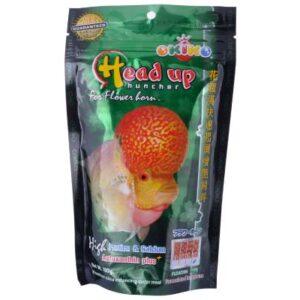 Okiko Flower Horn Head Up 100gm