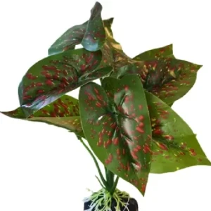 Plastic Decoration Plants 20Hx18W