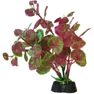 Plastic Decoration 12Hx10W