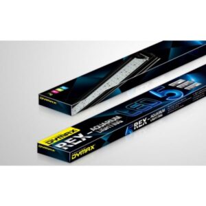 Rex-Led Lighting 80Cm Blue / White