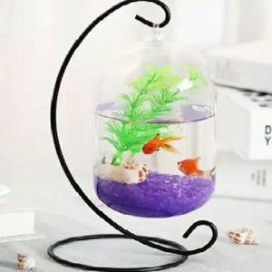 Saas Glass Hanging Tank Cylinder 1737