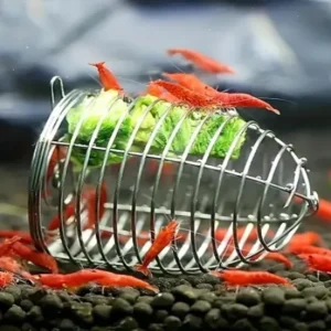 Shrimp Feeder Stainless Steel