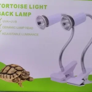 Tortoise Light Holder