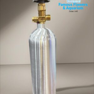 CO2 Cylinder Aluminum 2L
