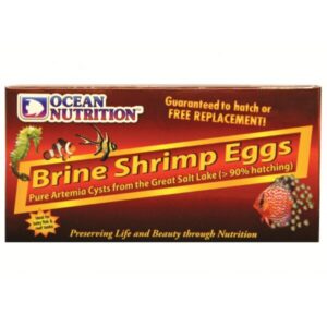 Brine Shrimp Eggs 20G