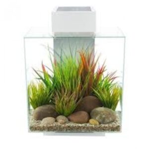Fluval Edge 2.0 46L Aquarium Set - Gloss White