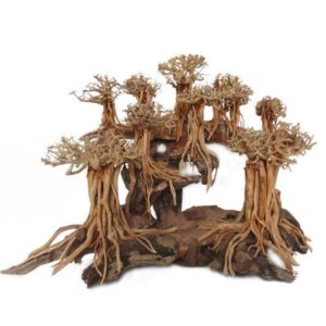 LAYOUT GOD OF FOREST - MEDIUM WOOD BONSAI