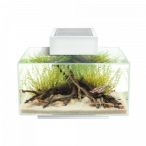 Fluval Edge Aquarium Set 2.0 23L - Gloss White